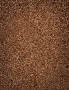 棕色皮革装潢材料质量奢华衣服墙纸空白插图奶牛皮肤图片