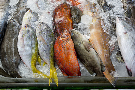 市场封闭背景下各种新鲜鲜鱼海产食品美味鲳鱼食物钓鱼销售午餐烹饪海鲜鲭鱼美食背景图片