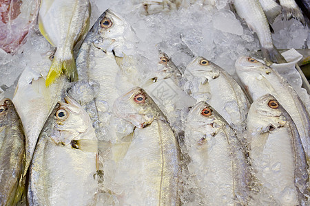 市场封闭背景下各种新鲜鲜鱼海产食品餐厅维生素厨房鲳鱼美食烹饪海洋食物销售钓鱼图片
