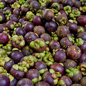 Mangosteen是泰国流行的果实图片