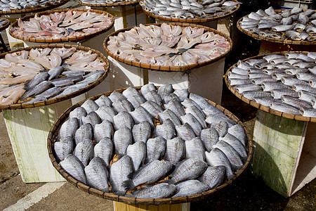 竹盘上许多干枯的瓜拉米鱼盐渍熏制文化盐水食物午餐盘子皮肤海鲜美食图片