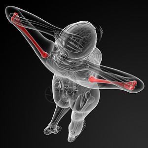 骨骨骼红色黑色肱骨插图蓝色医疗男性x光渲染背景图片
