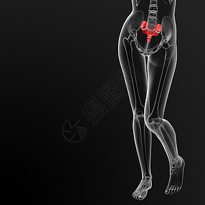 沙姆骨头药品光盘骨干医疗柱子脊柱椎间姿势骨骼尾骨图片