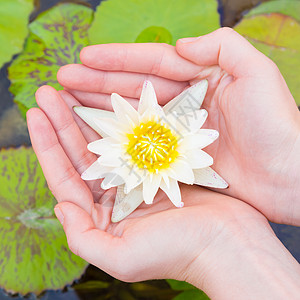 手握莲花的女子宏观护理皮肤花瓣百合异国荷花身体冥想植物图片