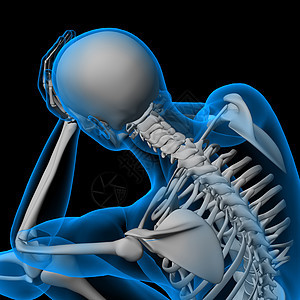 3d 插图骨骼解剖学肋骨身体生物学蓝色背痛脊柱脊椎药品图片