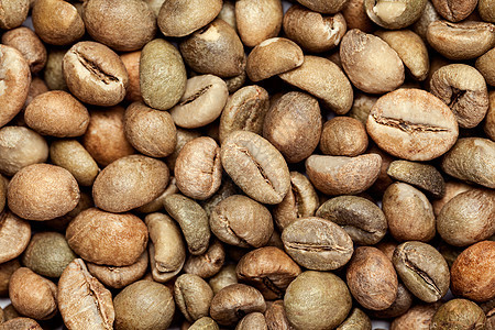 干绿色咖啡豆阿拉伯咖啡香料收藏咖啡种子豆子草药花生棕色草本植物图片
