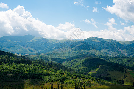 乌克兰喀尔巴阡山脉的景观生态旅游森林地平线国家树木牧场农村高地针叶场地图片