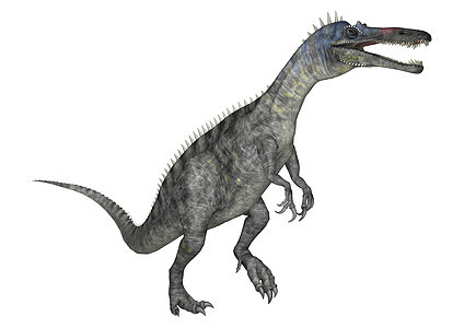 恐龙 Suchomimus鳄鱼捕食者古生物学蜥蜴野生动物怪物灭绝生物时代模仿图片