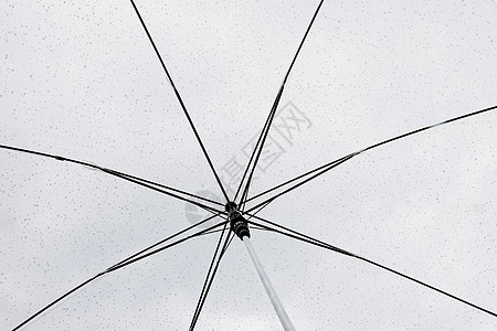 雨中的雨伞天气淋浴斑点气候基金雨滴天空水滴蓝色风暴图片