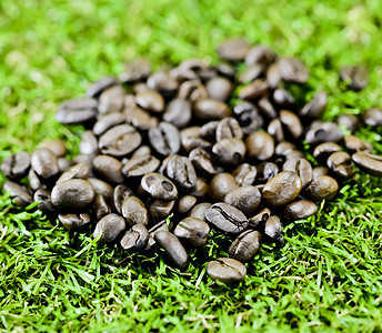 草地上咖啡豆咖啡厂小路磨床研磨厨房用具种子工作室剪裁咖啡店图片