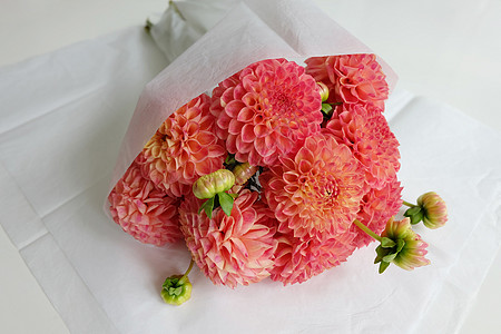 粉红色大象的布束庆典花束植物群珊瑚香味植物学大丽花树叶花园橙子图片