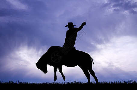 公牛骑马车圈地帽子荒野插图国家艺术牛仔尾巴骑士动物图片