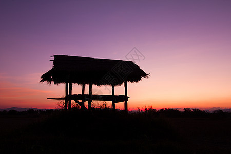 泰国清莱日落时小屋和树木的轮椅村庄异国场景棕榈情调旅行植物农村风景稻田图片