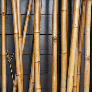 黑木上黄色竹竹栅栏背景园艺管道风格装饰树枝木头丛林热带正方形植物图片