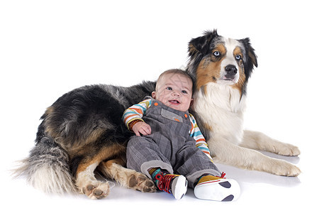 婴儿和澳洲牧羊人新生儿男生工作室牧羊犬朋友们白色动物孩子宠物图片