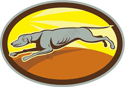 灰狗跳跃侧面 Oval 卡通赛车犬类椭圆形艺术品猎犬宠物卡通片跑步图片