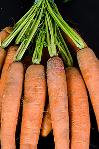 胡萝卜蔬菜食物绿色黑色橙子饮食背景图片