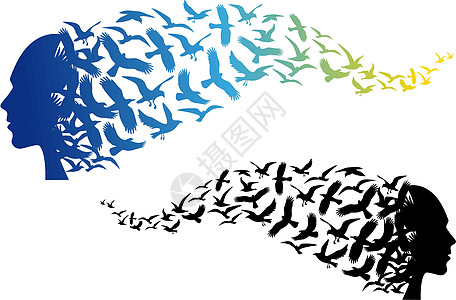 以飞鸟为头目 以鸟类为矢量绘画动物插图羽毛鸽子男性自由蓝色模版艺术图片