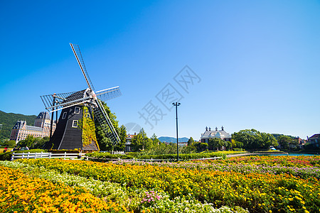 日本的风车季节花朵天空衬垫旅行蓝色图片