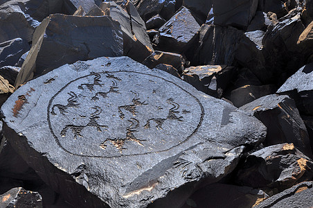 古代象形图岩石动物艺术圆圈考古学岩画巨石石头雕刻草图图片