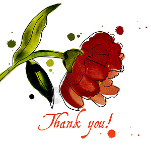 含有花儿的成分玫瑰框架水彩草图邀请函牡丹绘画插图红色芍药图片