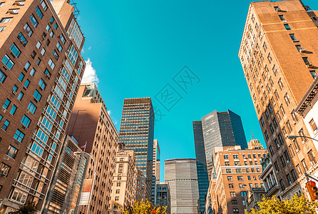 曼哈顿有城市树木的摩天大楼 纽约花园市中心天空天际绿色建筑都市建筑学办公室建筑物图片