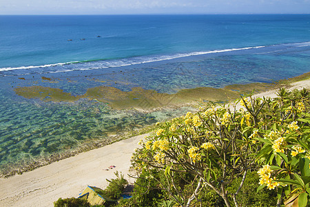 巴厘岛海岸线 印度尼西亚阳光天空蓝色松巴海景植物太阳晴天海滩旅游图片