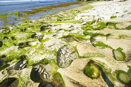 印度尼西亚巴厘岛海岸线 11月21日环境海藻裂缝地平线壁架蓝色海洋支撑反射生活图片