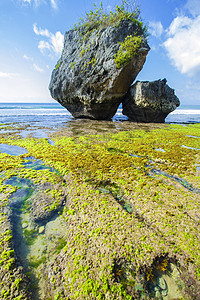 印度尼西亚巴厘岛海岸线 11月21日海藻蓝色地平线环境松巴支撑珊瑚编队反射生活图片