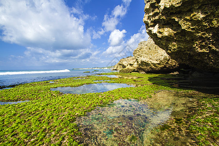 印度尼西亚巴厘岛海岸线 11月21日海景钥匙裂缝海滩岩石海洋生活地平线反射松巴图片