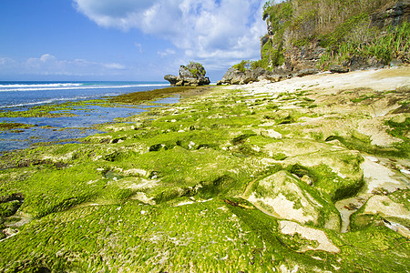 印度尼西亚巴厘岛海岸线 11月21日生活松巴海景反射壁架潮汐环境编队支撑蓝色图片