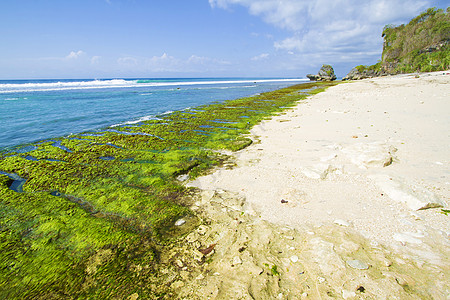 印度尼西亚巴厘岛海岸线 11月21日晴天海景松巴旅行天堂植物海岸海滩天空旅游图片