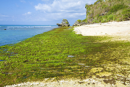 荒沙海滩岩石钥匙环境壁架反射地平线海洋天空海景支撑图片