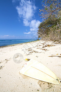 荒沙海滩棕榈海岸线植物海洋太阳海景阳光椰子天堂天空图片