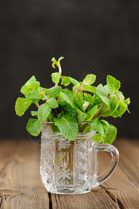 黑色背景检查宏上玻璃杯中的新鲜薄荷木头蔬菜食物草本植物香料杯子草药植物树叶叶子图片