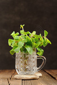 黑色背景检查宏上玻璃杯中的新鲜薄荷香气树叶木头蔬菜香料草药食物杯子植物草本植物图片