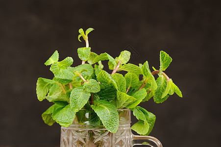 黑色背景检查宏上玻璃杯中的新鲜薄荷草本植物香气木头香料树叶玻璃食物植物草药蔬菜图片