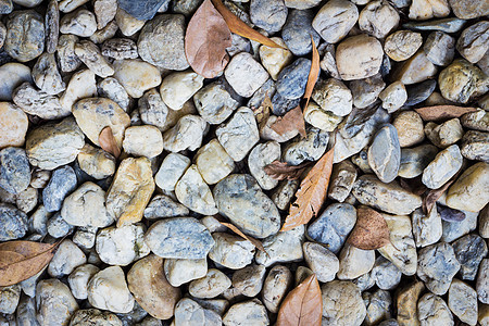 公园里鹅卵石的自然背景图像 有干叶岩石海滩建造碎石花岗岩装饰品花园曲线小路假期图片