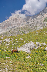 吉尔吉斯斯坦丘陵风景山峰旅行远足山脉图片