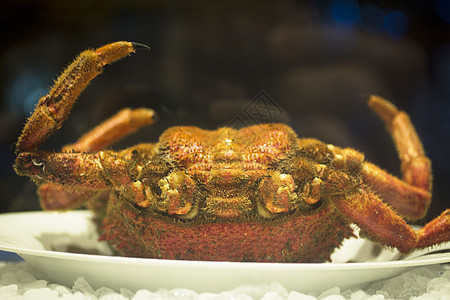饭馆冰面的螃蟹生食海鲜食物饮食晚餐美食家影棚动物餐厅冰块图片
