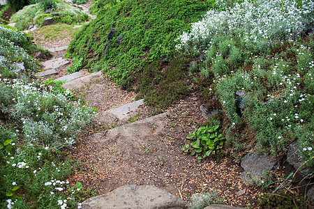 绿色花园中的石 Stony 楼梯公园植被植物群假山缠绕途径脚步高山小路人行道图片