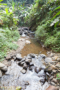从山上流下来的瀑布旅行运动溪流丛林速度晴天场景流动石头植物图片