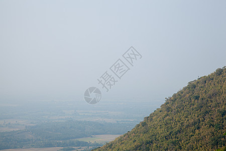 覆盖的山岳和树木爬坡植物公园日出薄雾环境山脉阳光日落场景图片