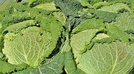 青白菜蔬菜食物市场绿色叶子图片