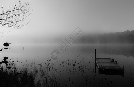 安大略湖北部有雾 游泳码头断层树叶树木撤退薄雾蓝色黑与白叶子阴霾天空荒野图片