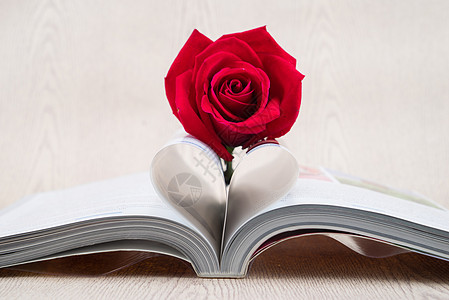 玫瑰放在书页上的书页 弯曲成心形婚姻花瓣图书文学页数小说白色花束红色婚礼图片