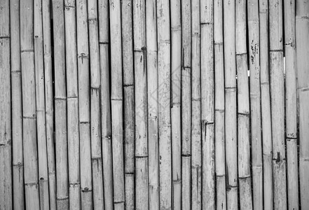 黑白竹栅栏的紧闭生长装饰绑定风格文化枝条树枝管道正方形热带图片