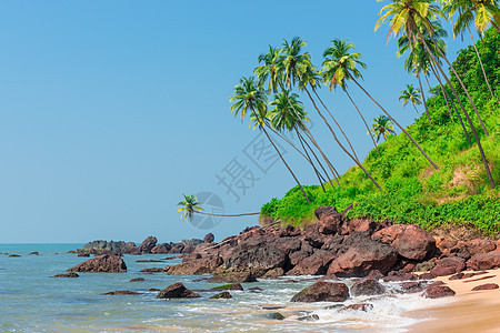 海中的石头和山上的棕榈树图片