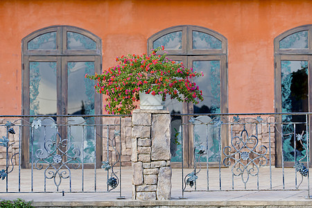 阳台上的花盆和家用植物房子玻璃窗帘住宅建筑建筑学植物群石头街道绿色图片