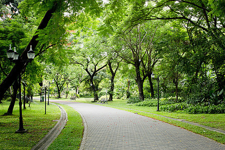 绿公园的石路石头人行道绿化公园土地途径园林城市车道场地图片